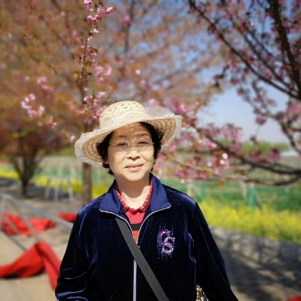 七律《赞老龙头》李金萍佳作