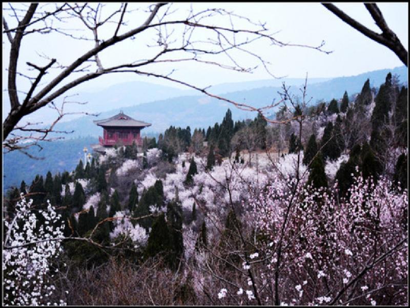 七绝 山寺咏怀 文/青山(山东)