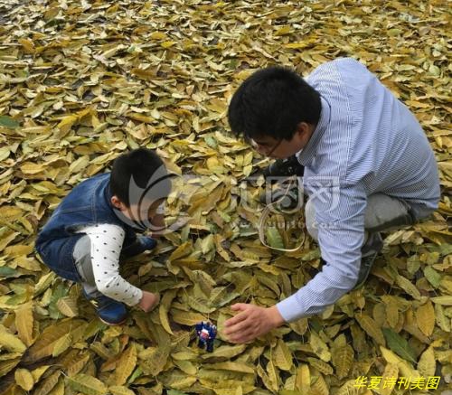 1581750174768021825.jpg 鐖朵笌瀛?.jpg