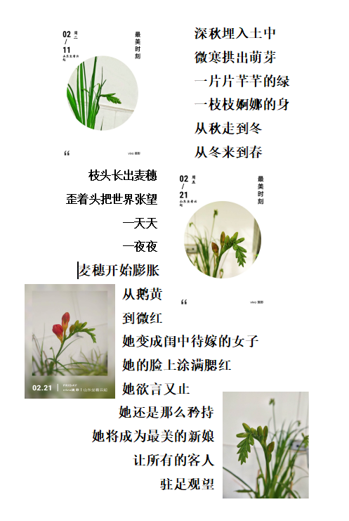 1582274771505097562.png C:\Users\Administrator\Pictures\Saved Pictures\QQ鎴浘20200221164429.png