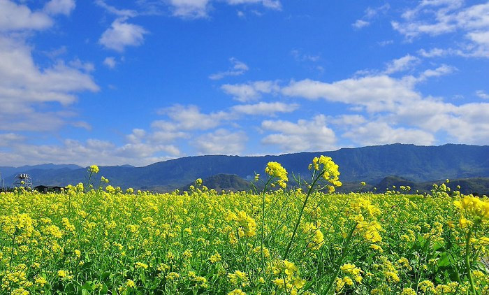 595d857febc84215a568489af132511e.