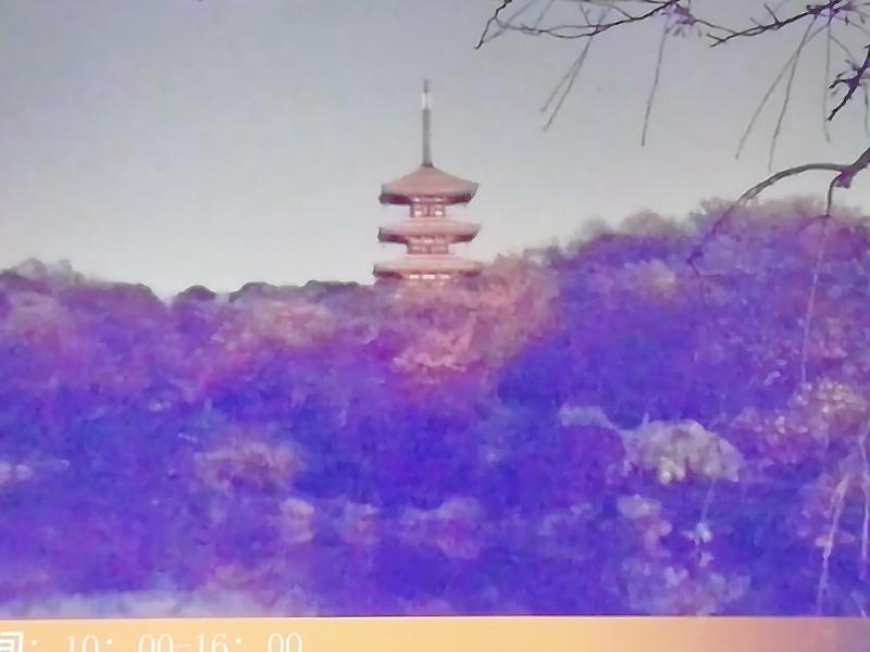 IMG_20200317_222544.