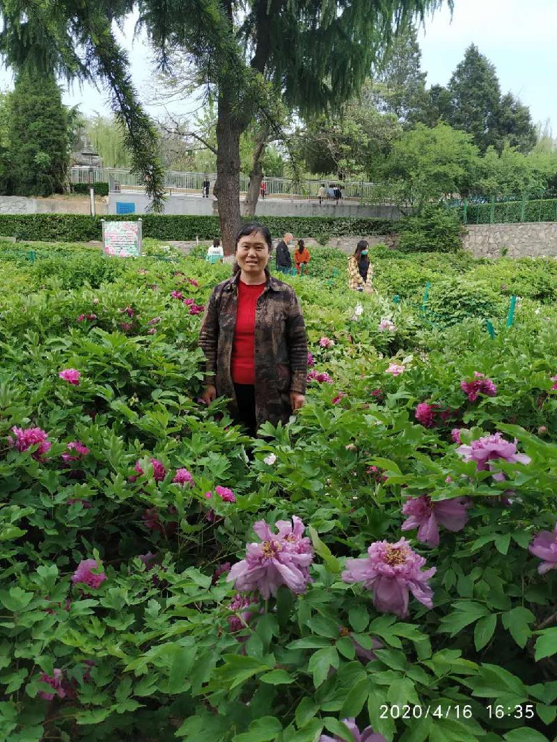 mmexport1587306315009.