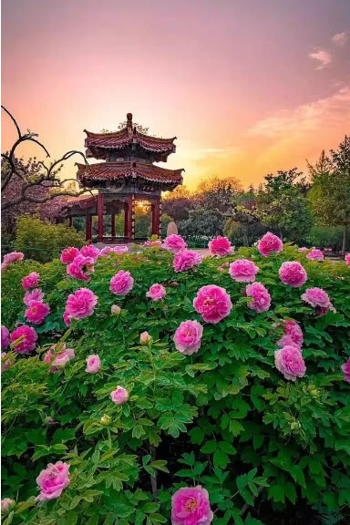 a80a1cf3933e48879b5c312d934282f4.