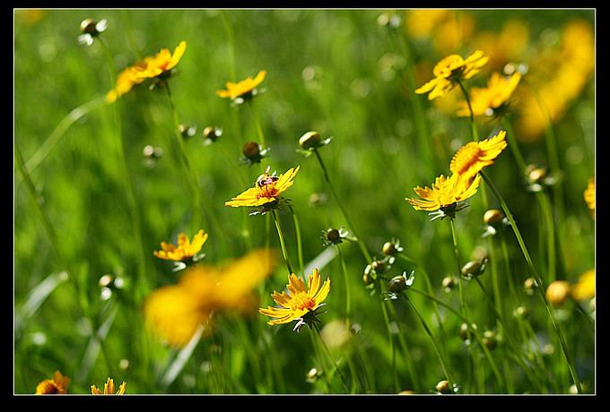 wKgB3FGmFLSAaW-TAAbRyDg74hA30.