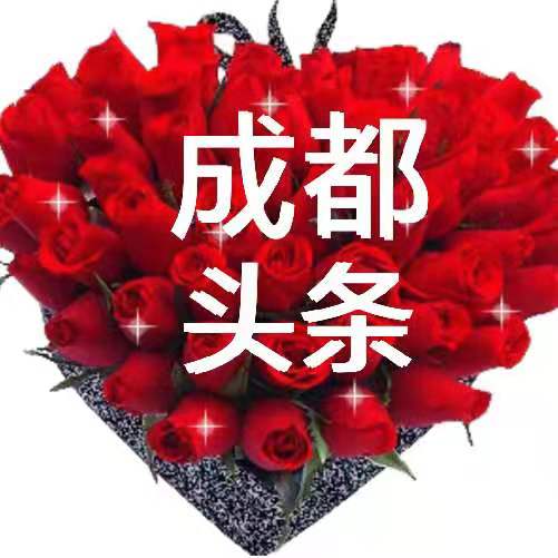 成都头条  刊头.jpg