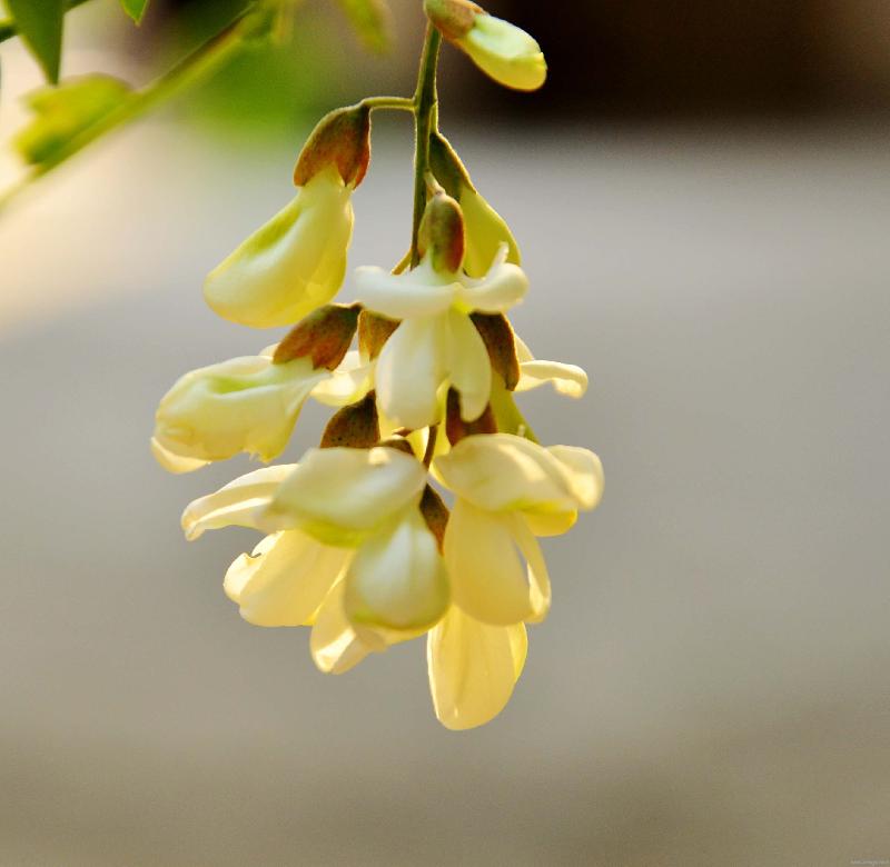 202835h4vxg54xdxv2xjhk.