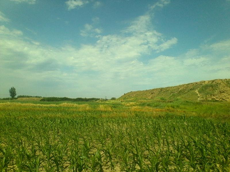 mmexport1594933748939.