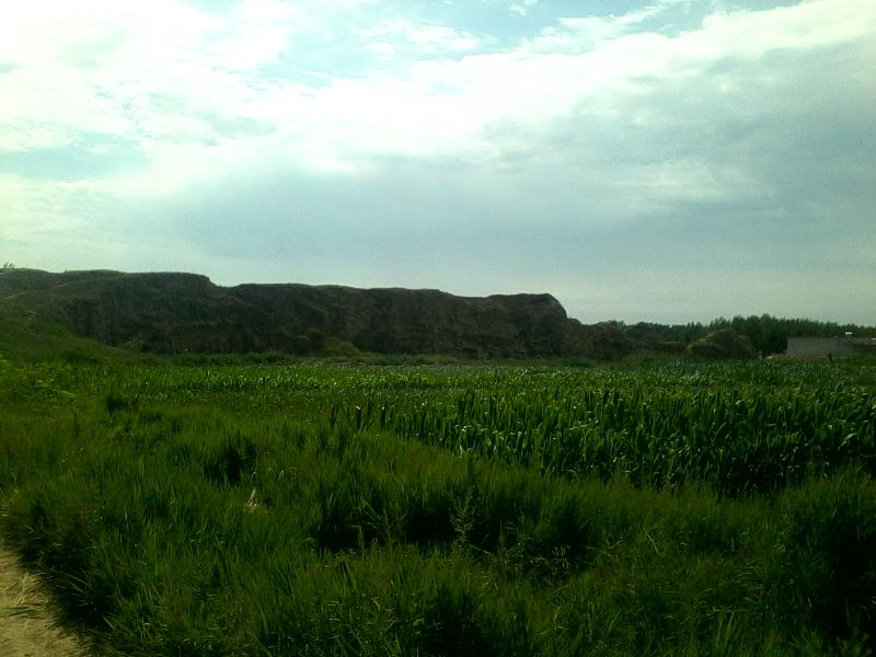 mmexport1594933742274.