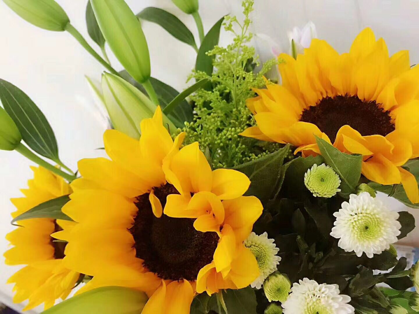 1595090510077012898.png image.png