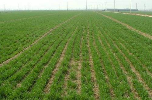 1598584953766058746.jpg timg (8).jpg