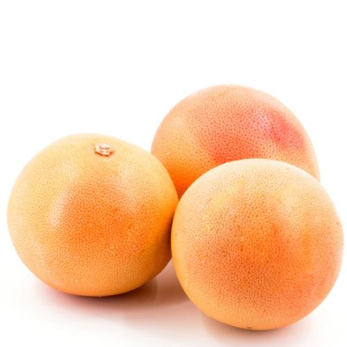 1601655648936065642.jpg u=1384190089,541155052&fm=26&gp=0.jpg