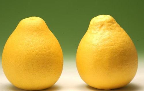 1601655513428060821.jpg u=3003042269,4187052654&fm=26&gp=0.jpg