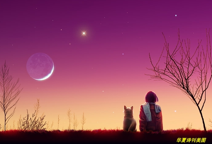 1601727425499082099.jpg 1601727425499082099.jpg