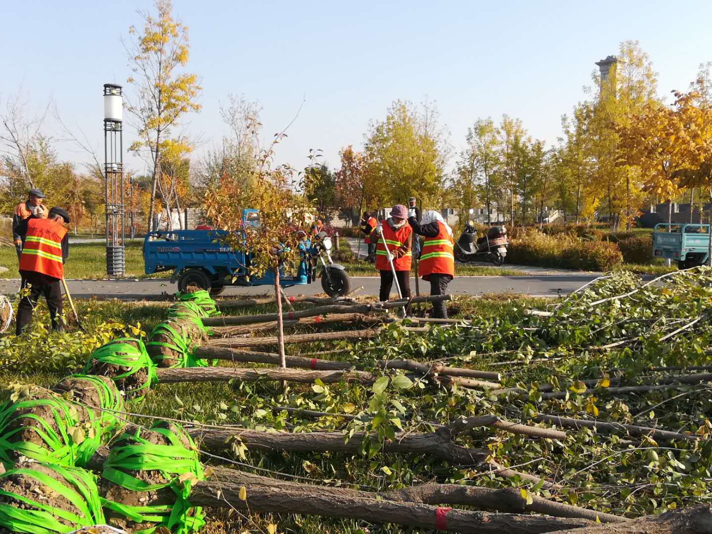 1602567284238011839.jpg 寰俊鍥剧墖_20201013132728.jpg