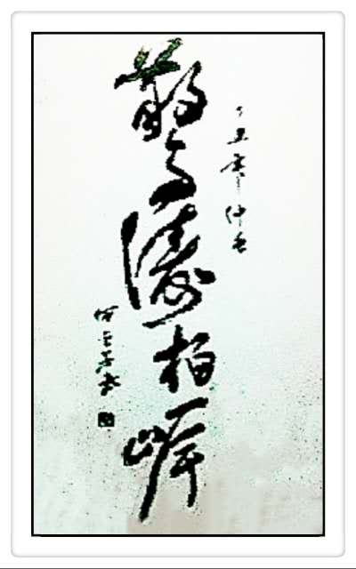 1603201556626004172.jpg 8395b93d0314145e03d986b49608844_鍓湰.jpg