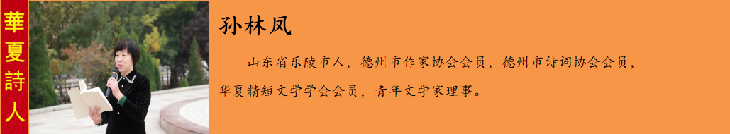 C:\Users\Administrator\Pictures\Saved Pictures\u701b欐灄鍑?01.png