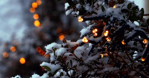 1605784821741011758.gif 寰俊鍥剧墖_20191207230318.gif