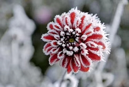 1605784993184027551.jpg 寰俊鍥剧墖_20191207223426.jpg