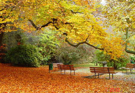 1607236484023018686.jpg u=2280123000,3637991186&fm=26&gp=0.jpg