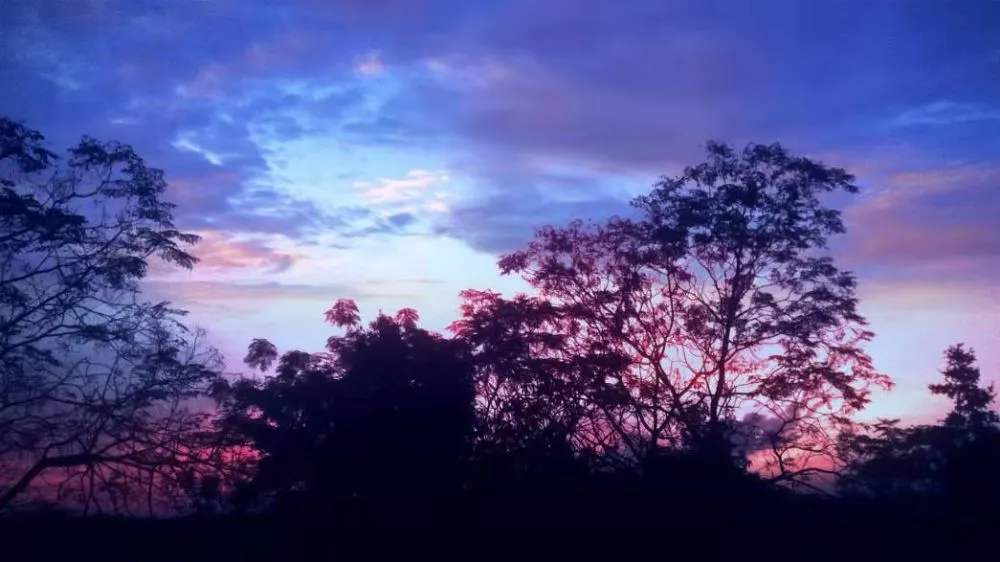 1607236505146045425.jpg timg (6).jpg