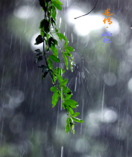 225608289.png image.png