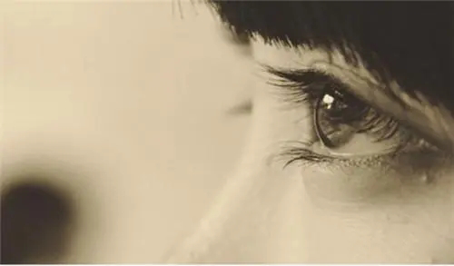 102801274.png image.png