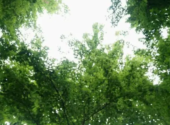 045702700.png image.png