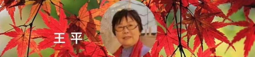 064508620.png image.png