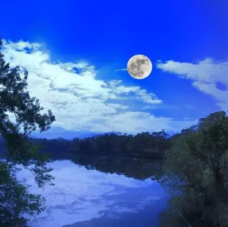 065302856.png image.png