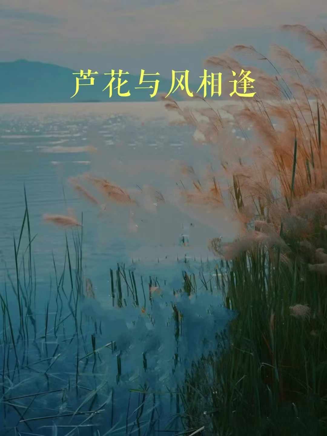 ccc9310e9cdd3f79a5a5691e1a476b9b.jpg