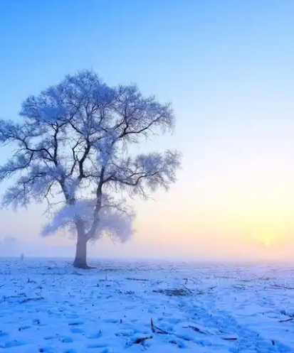 065702504.png image.png