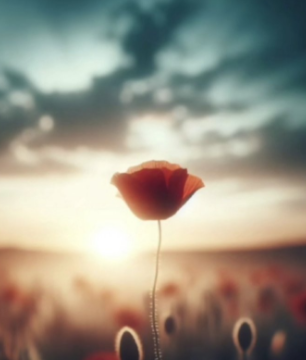 071302704.png image.png