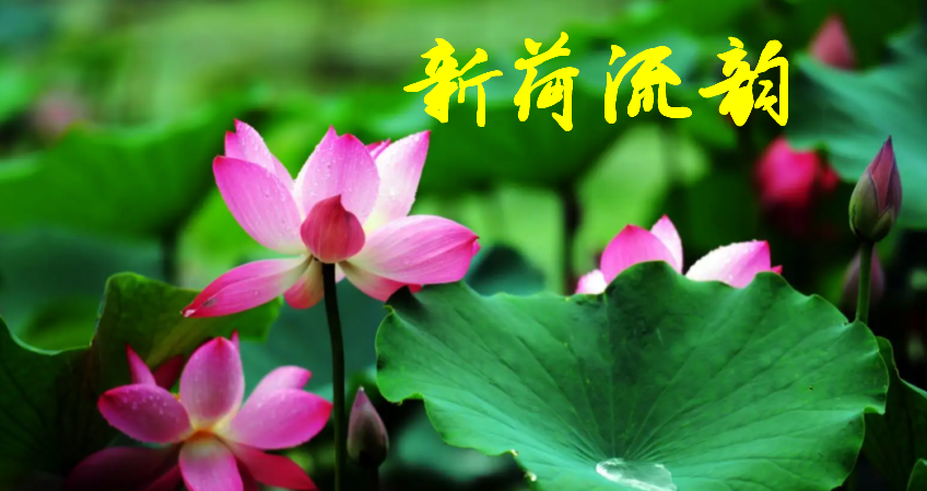 181200615.png image.png