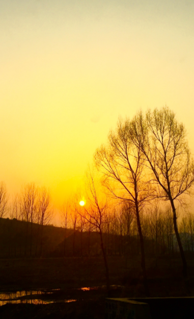 052704431.png image.png