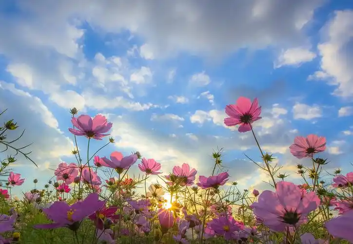 163009623.png image.png
