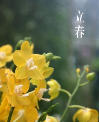 224902885.png image.png