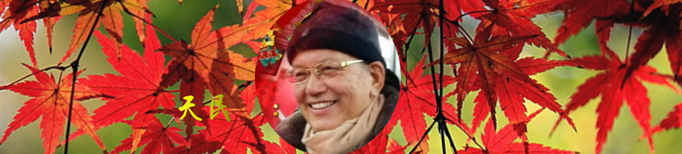 222607065.png image.png