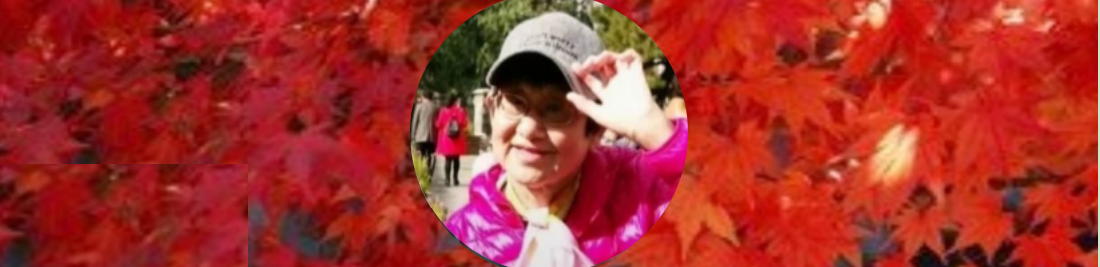 222505165.png image.png