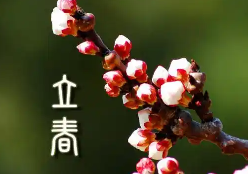 225002324.png image.png