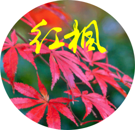182901179.png image.png