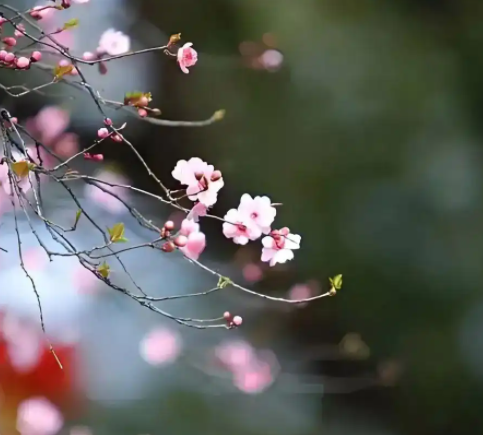 071904602.png image.png