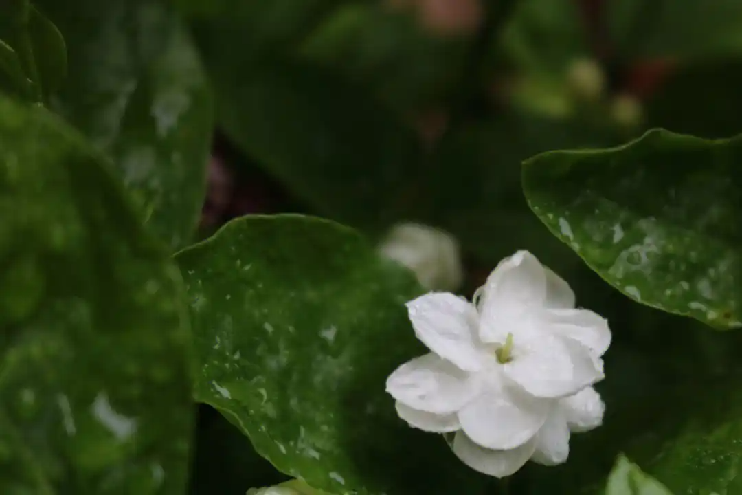 135701140.png image.png