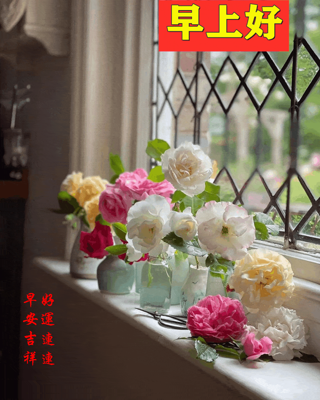 578991bcf9214541a14d1c5cfd630c36.webp