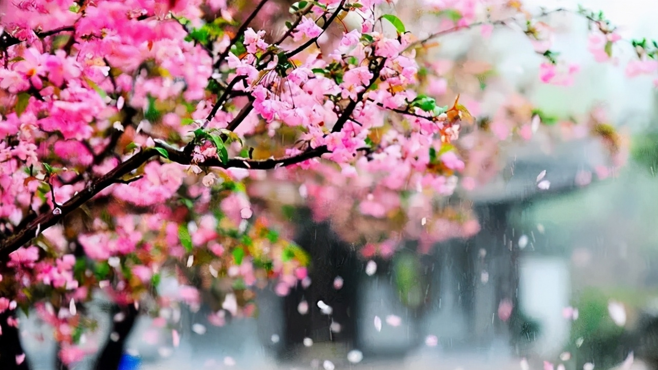 105901482.png image.png