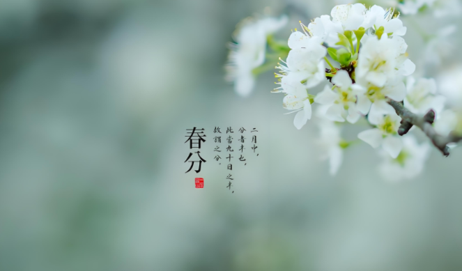 181008541.png image.png