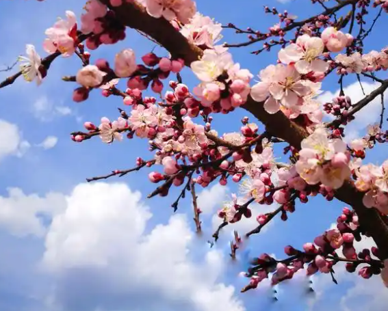 201900019.png image.png