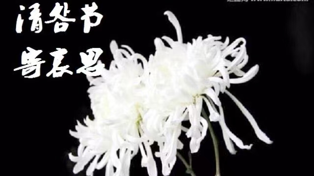 寰俊鍥剧墖_20250404102104.jpg
