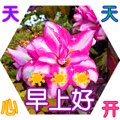 b50f1edeb882158906004d83378dc095.gif