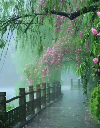 062304505.png image.png